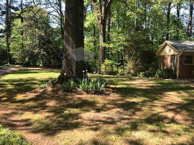 Building Photo - 6612 Pleasant Pines Dr