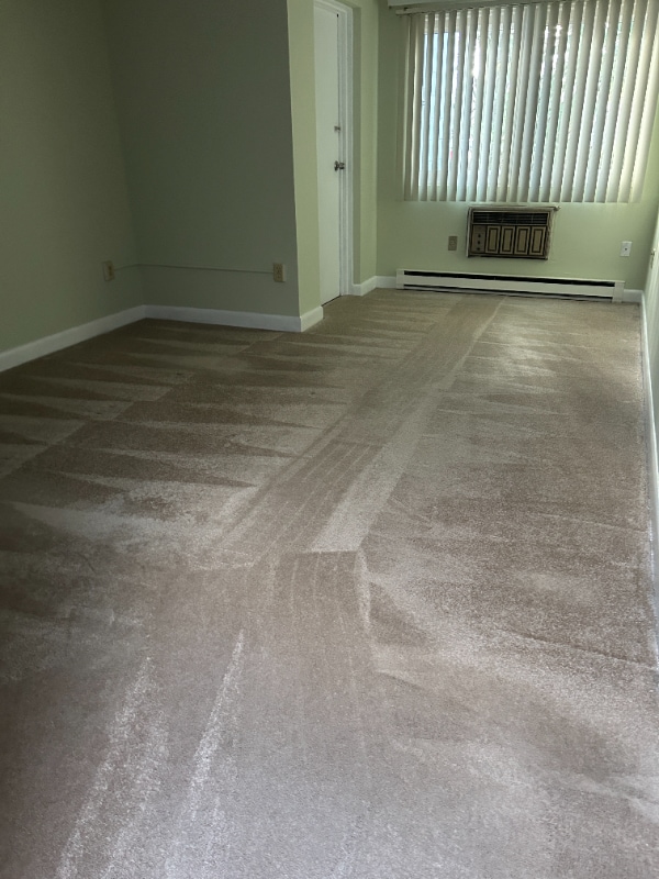 Building Photo - 24 Camp St