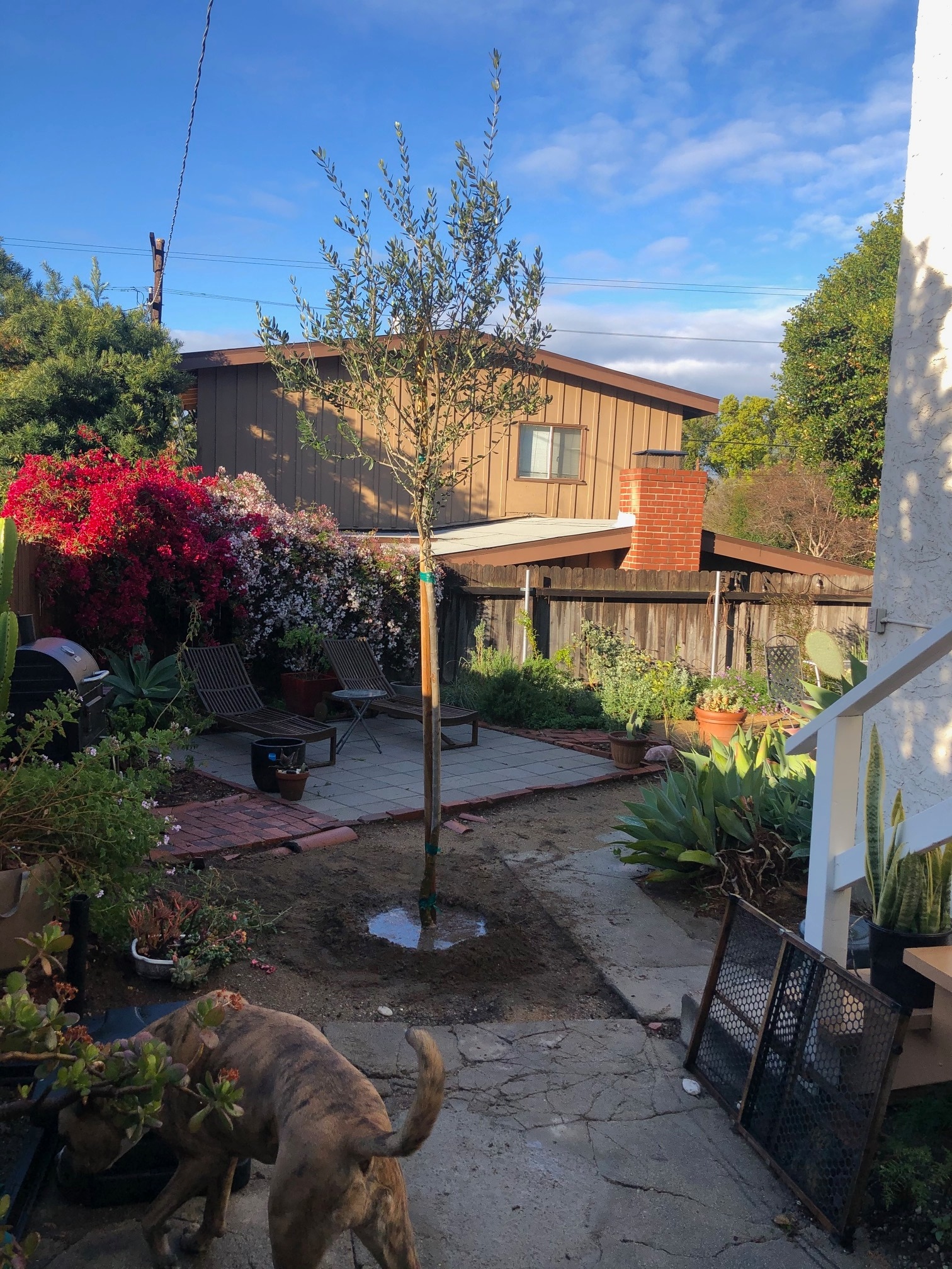 Building Photo - 3188 Atwater Ave