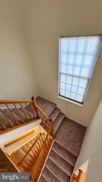 Building Photo - 9611 Normanton Way