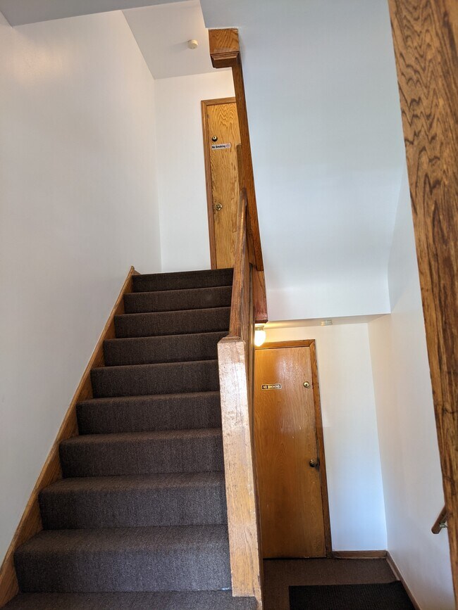 New carpet and freshly painted hallways - 3852 N Elston Ave