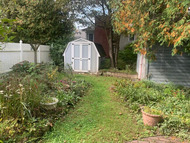 Back Yard with Shed - 42 Chappell St