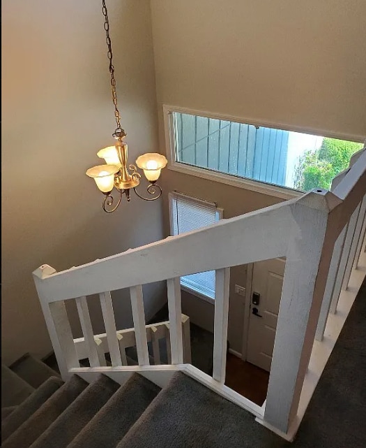 Stairs - 146 Woodfield Pl