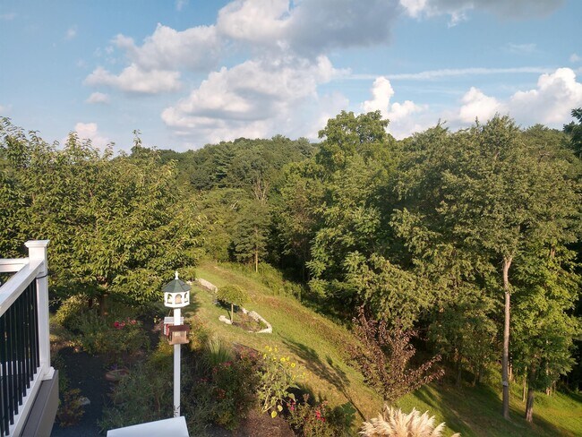 Building Photo - 7041 Woodsman Dr