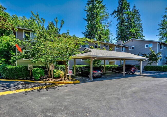 Building Photo - Echo Lake One Bedroom