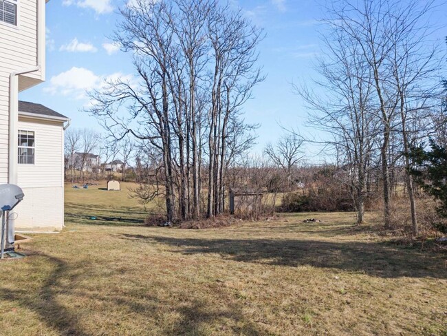 Building Photo - 357 Chimney Cir