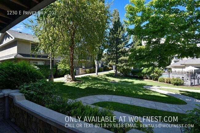 Building Photo - 1230 Privet Dr