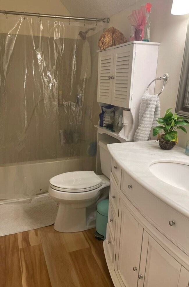 Building Photo - Knoxville 37912 - 4 Month Lease! 2 bedroom...