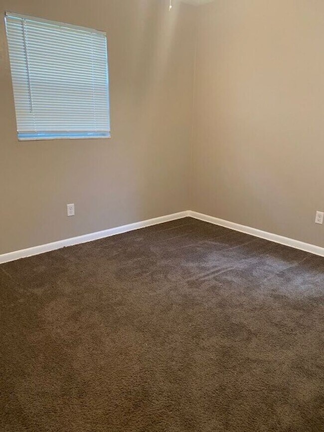 Building Photo - Coming Soon! Tampa!
