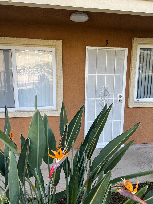 2252 Building - 2252 Morley St