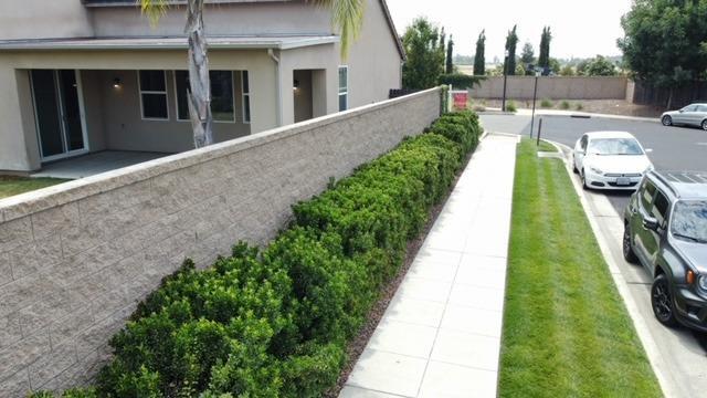 Building Photo - 4203 Chesa Ln