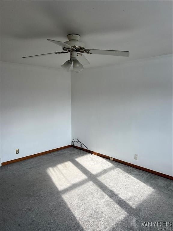 Building Photo - 49 Youngs Rd