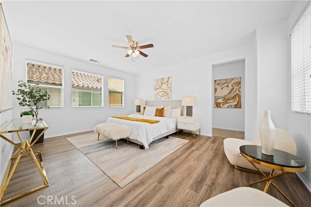 Building Photo - 145 Mongoose