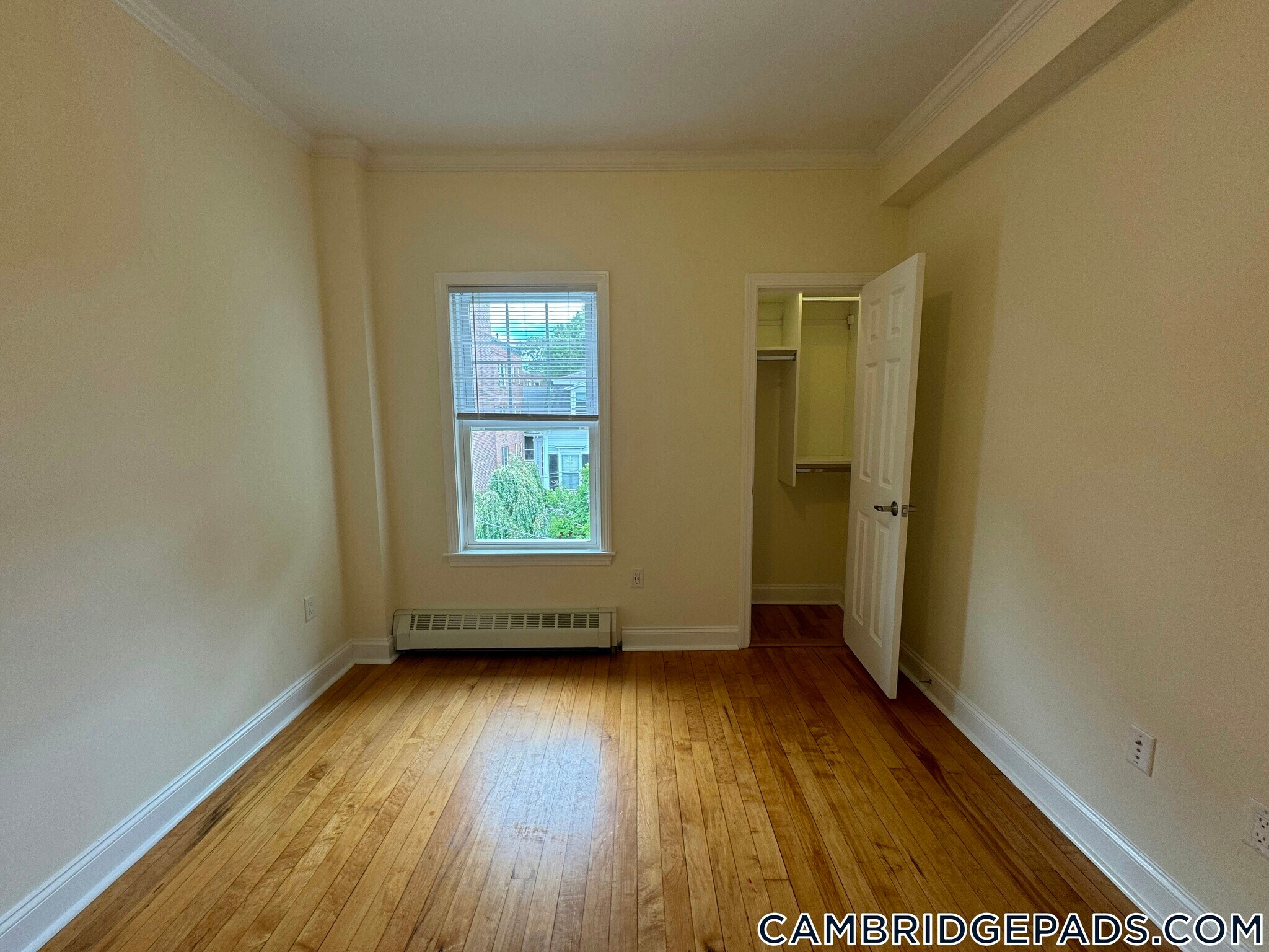 Building Photo - 65 Langdon St