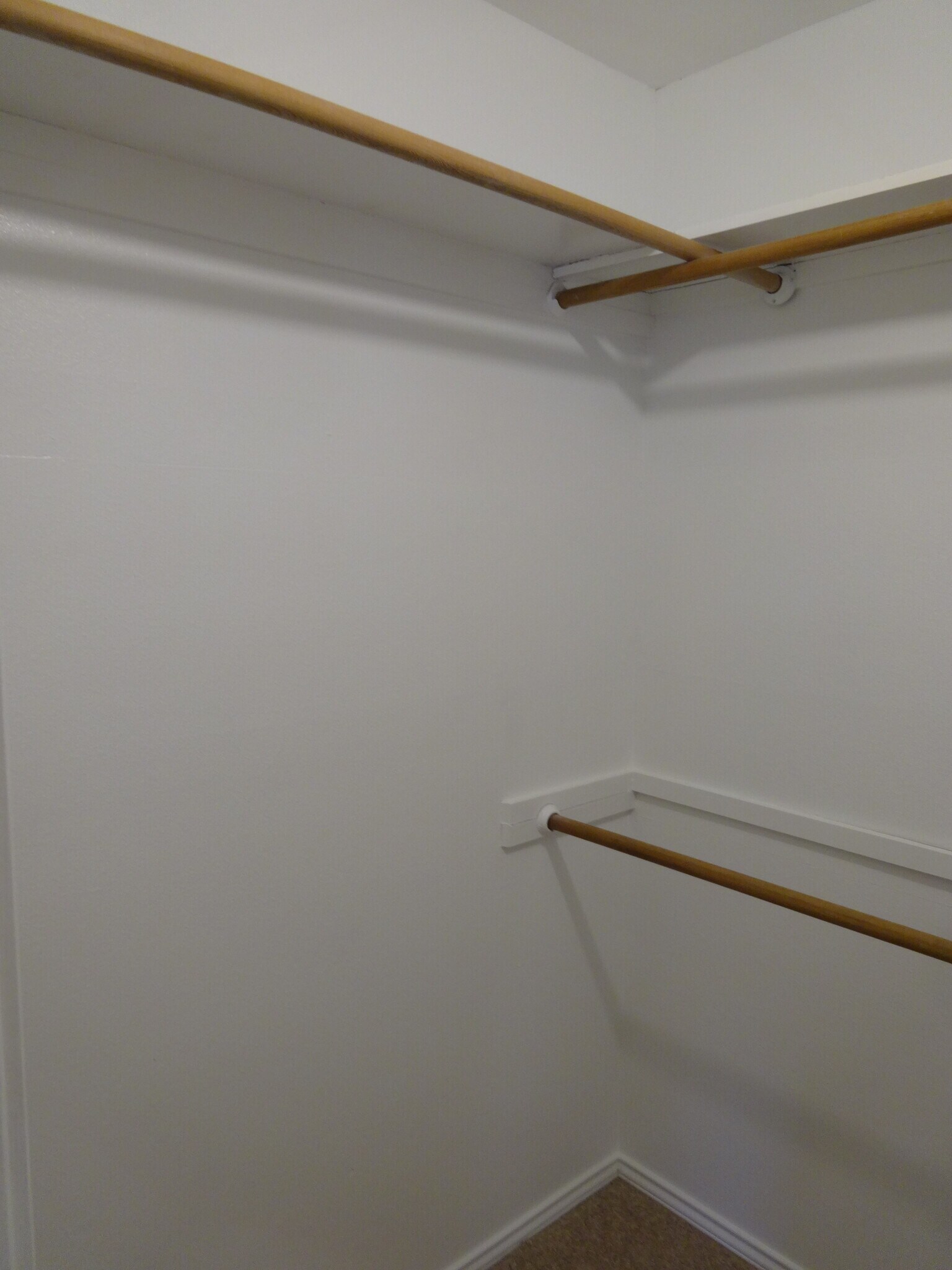 Primary Walk In Closet - 4406 Parkhurst Dr
