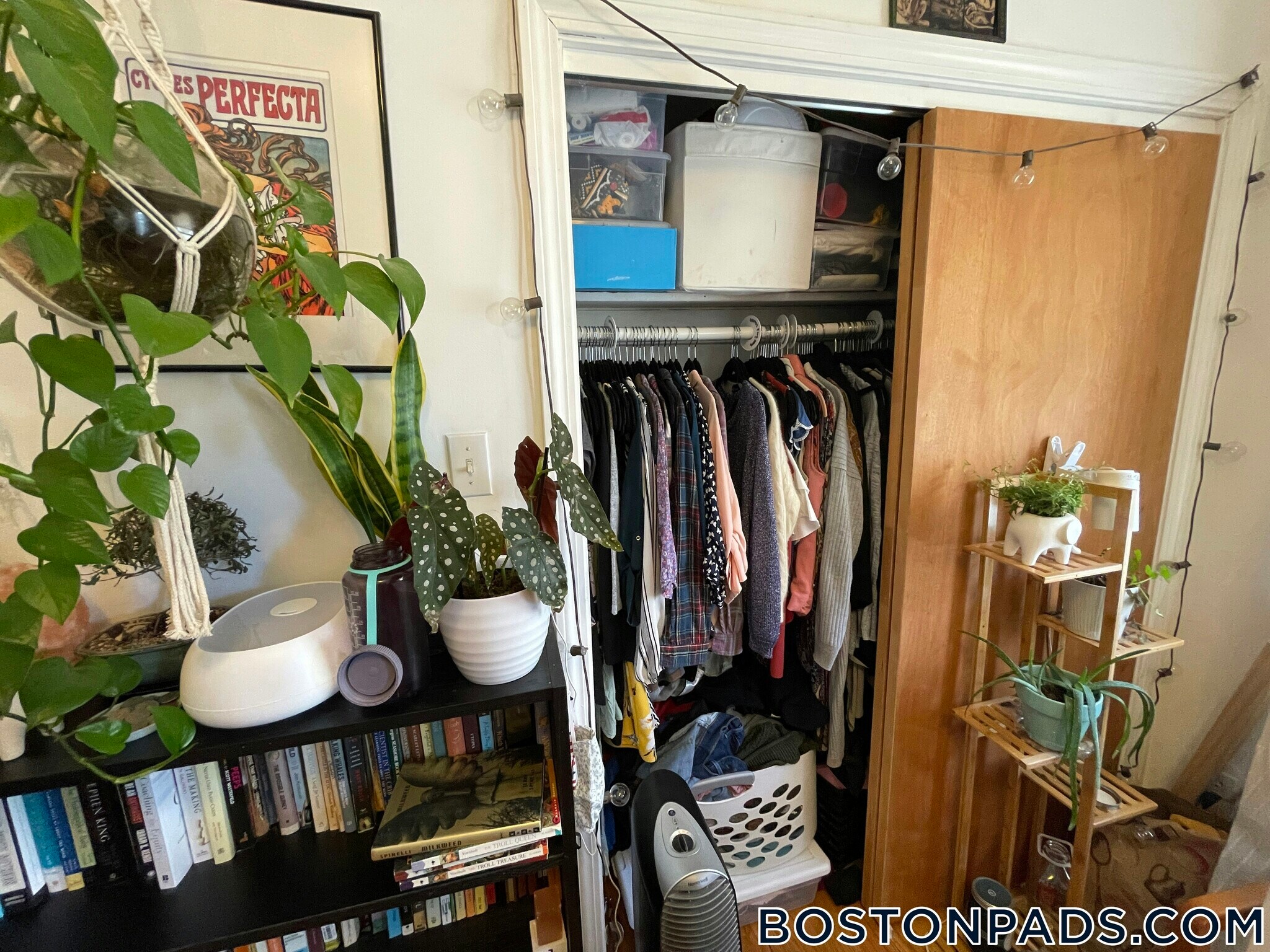 Building Photo - 66 Brooks St