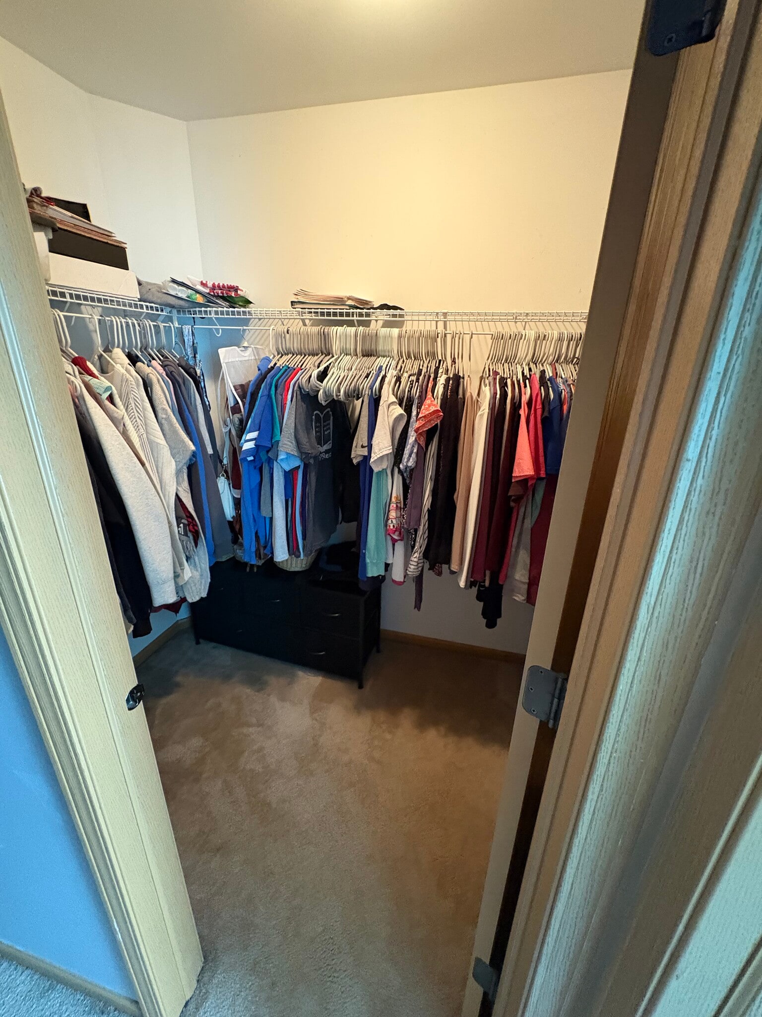 Walk-in closet - 536 W Kristina Ln