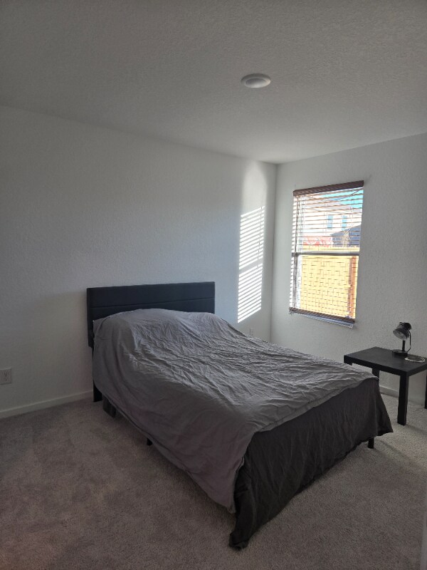 Building Photo - 7118 Shamrock Dome