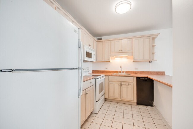 Building Photo - 1540 N La Salle Dr