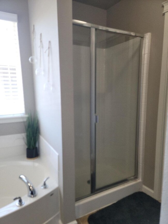 Building Photo - 3 Bedroom Home in Freestone at Bayside