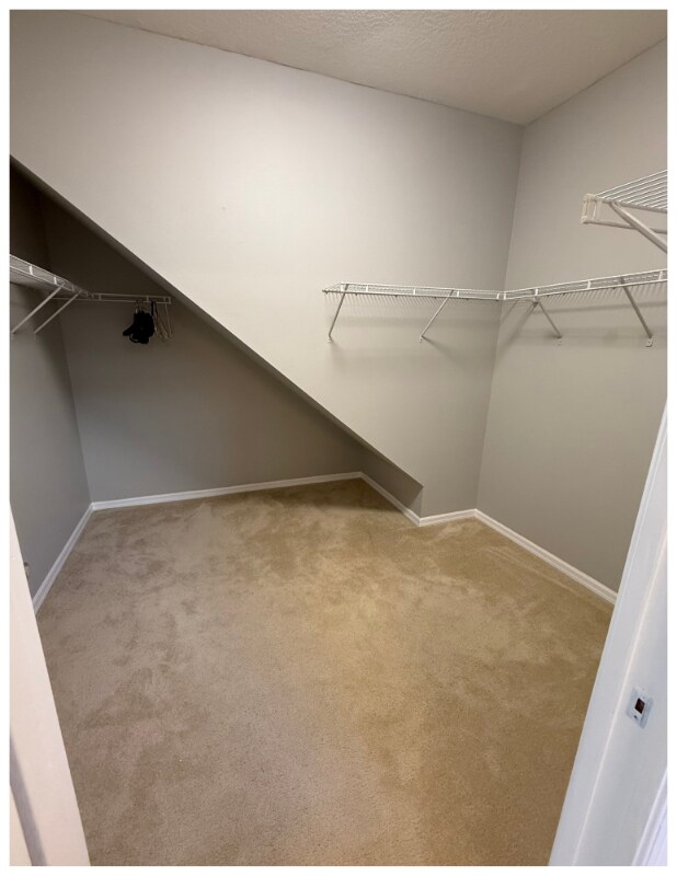 Building Photo - 2352 Rosehaven Dr