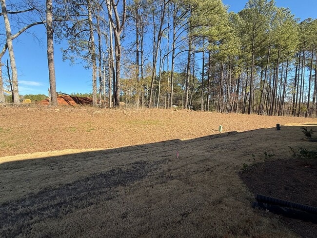 Building Photo - Stunning New Construction 3BD, 2.5BA End Unit Morrisville Townhome with Premier HOA Amenities in ...