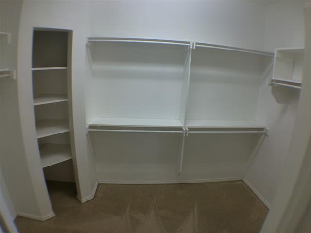 Building Photo - 2509 Nueces Cove