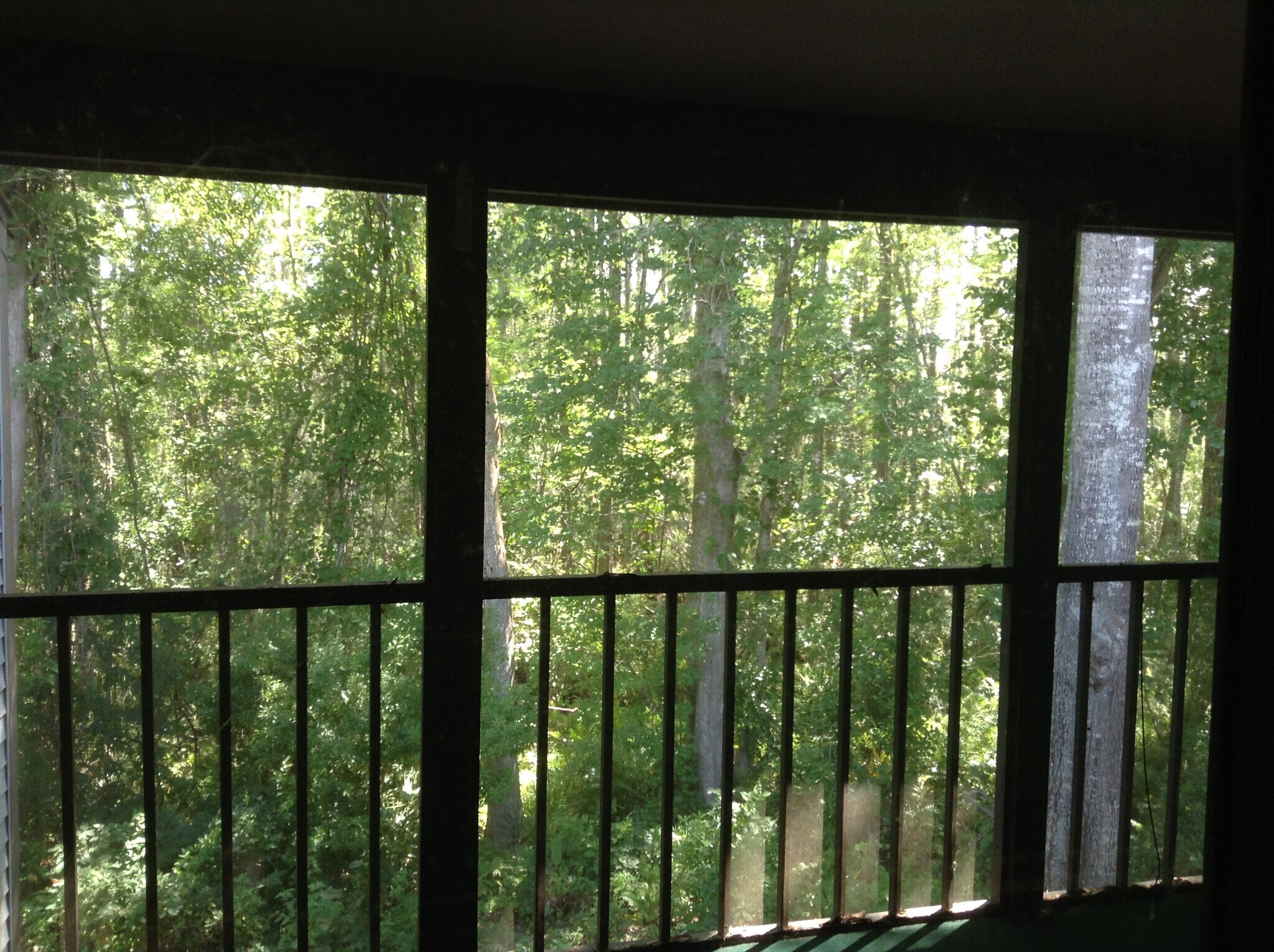 Building Photo - 11606 Baywood Meadows Dr