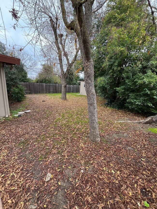 Building Photo - 4 Bedroom 2 Bath Home in Old Davis Near Campus