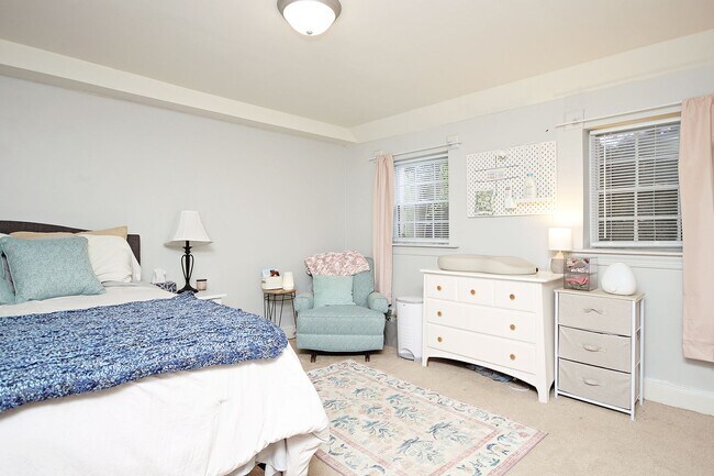 Building Photo - Spacious Fry's Spring Basement Apartment