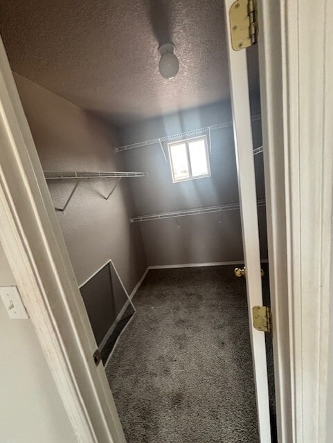 Building Photo - 1607 Costilla Rd