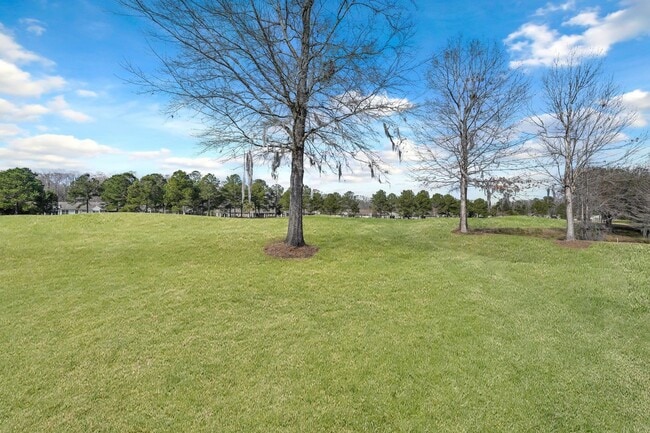 Building Photo - 49 Penny Creek Dr