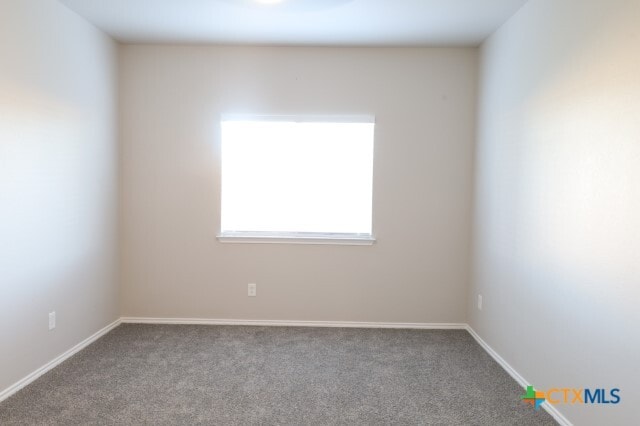 Building Photo - 9904 Maplewood Ct