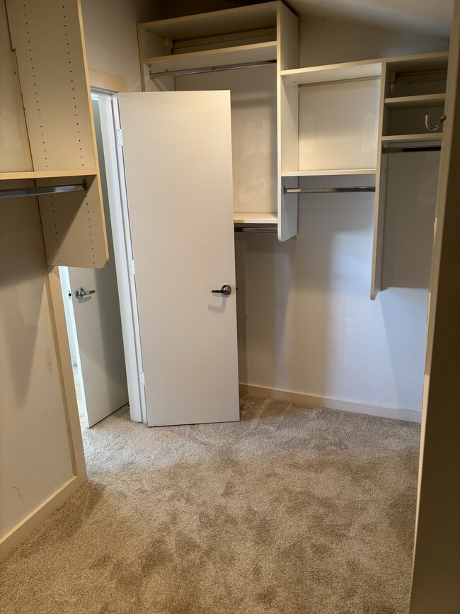 Building Photo - 2909 Albany St