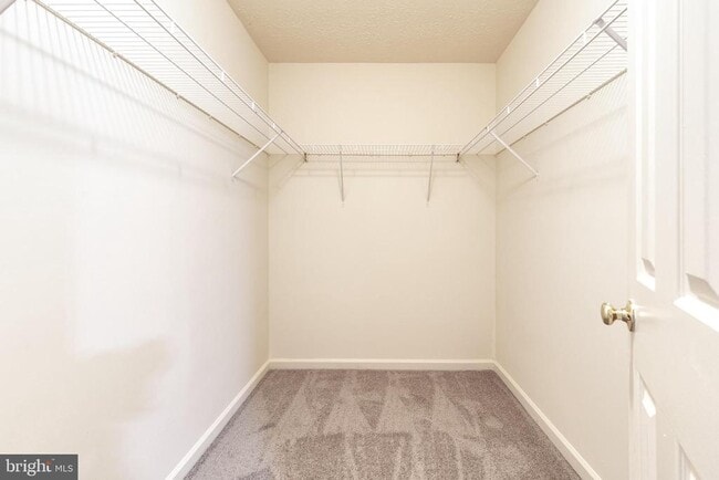 Building Photo - 5 Weyanoke Ct