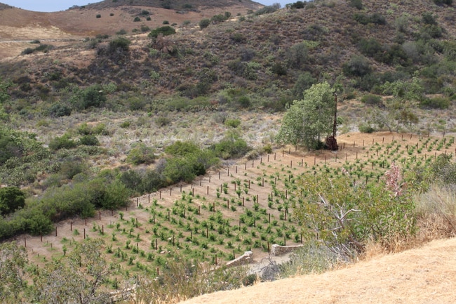 Building Photo - 33300 Ortega Hwy.