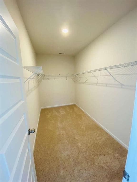 Building Photo - 804 Dundee Wy