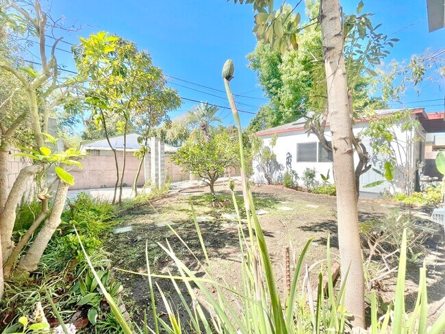 Building Photo - Newly remodeled two story 3 Bed + 2 Bath House + Office + Loft & large backyard