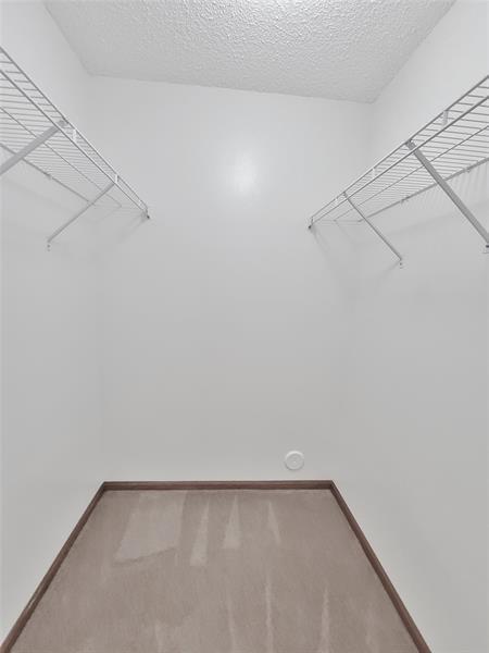 Building Photo - 203 N 59th Ave