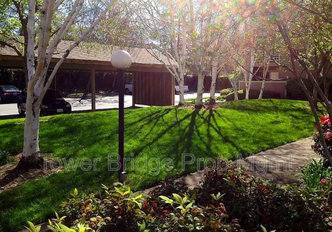Building Photo - 11150 Trinity River Dr
