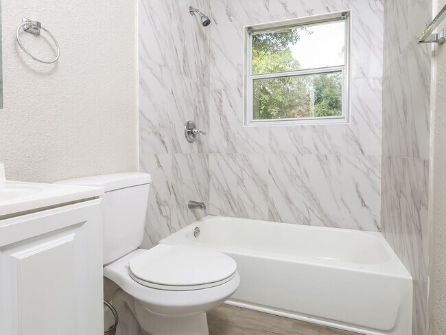 Building Photo - 3 BR/1BA | Newly Renovated Single Family Home | Screened in Patio and carpot | Huge backyard!