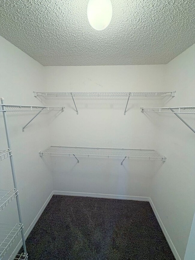 Building Photo - Beautiful 3 Bedroom, 2 Bathroom Home with Upgrades Throughout