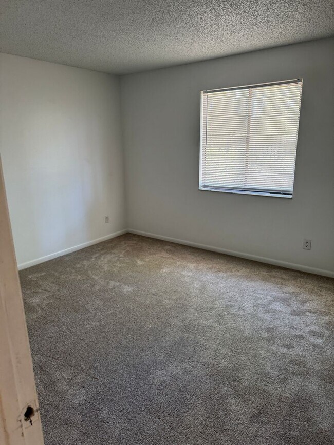 Building Photo - Great Features and Great Price!