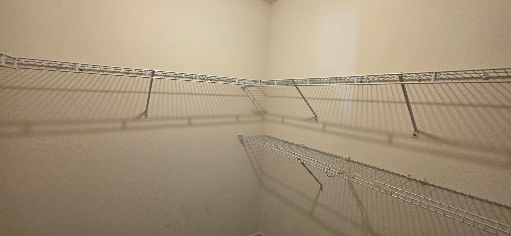 Building Photo - 4001 Blackwolf Dr