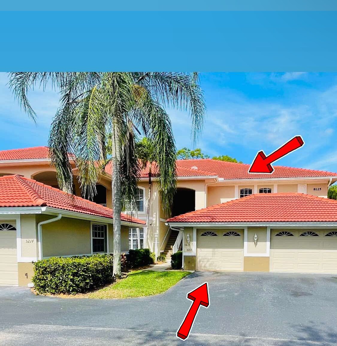 Building Photo - 8125 Celeste Dr