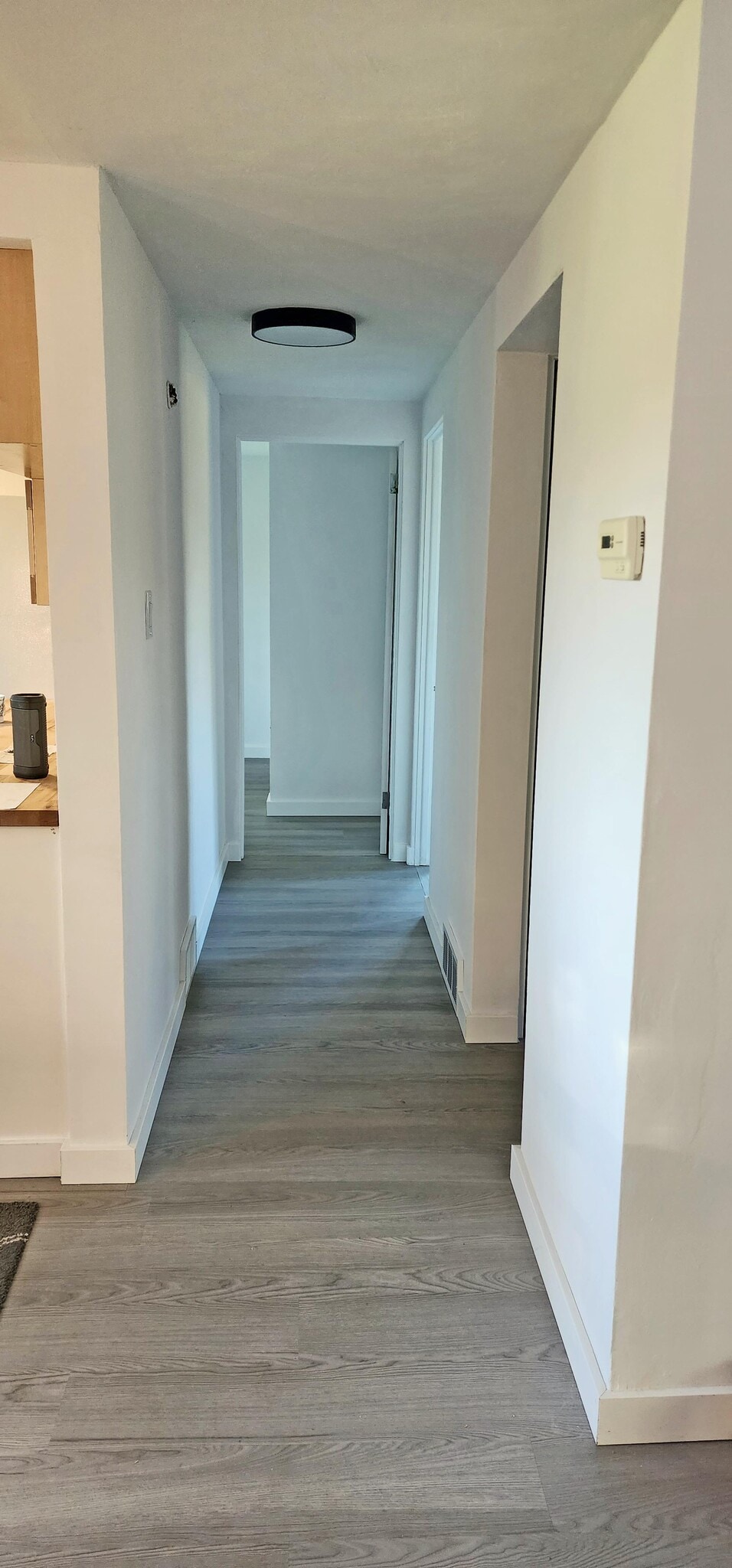 Hallway to Bedrooms - 231 Lindley Rd