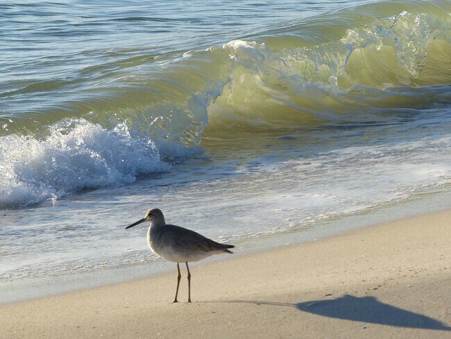 Building Photo - 1004 15th St