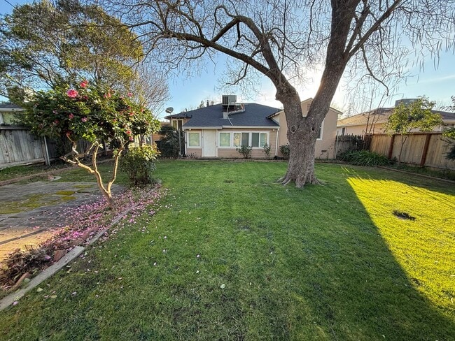 Building Photo - Spacious 2 bed 1 bath available now!