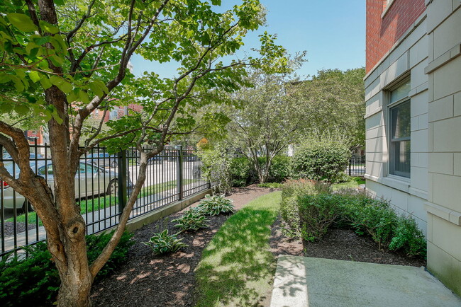 Building Photo - 1407 S Halsted St