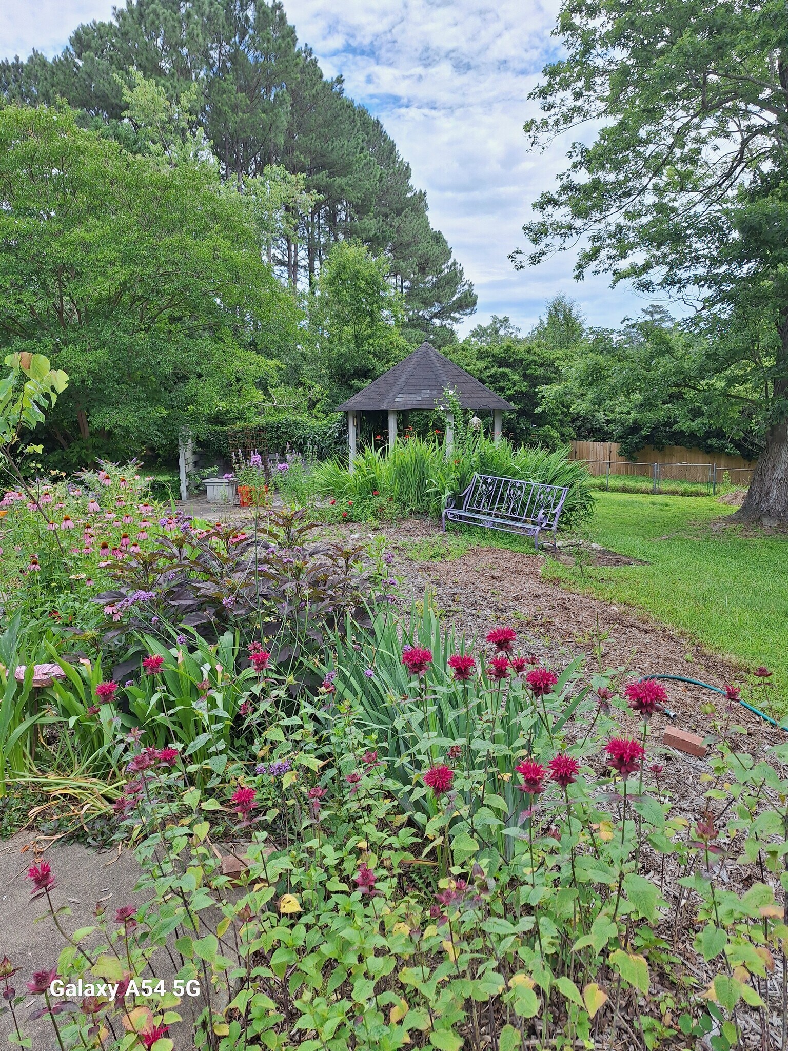 Landscaped private back yard (shared) - 4920 Mandel Rd